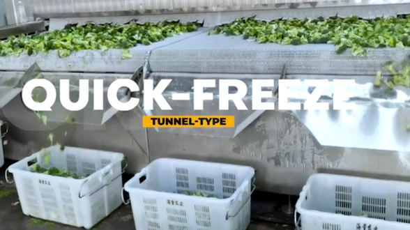 IQF Quick Freezing Tunnel Freezer
