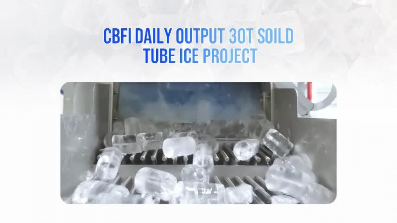 Tube Ice Making Machine Plant, 30 Tons per Day (TV300)