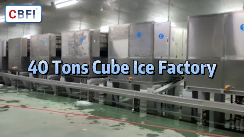 40 Tons Cube Ice Factory Case
