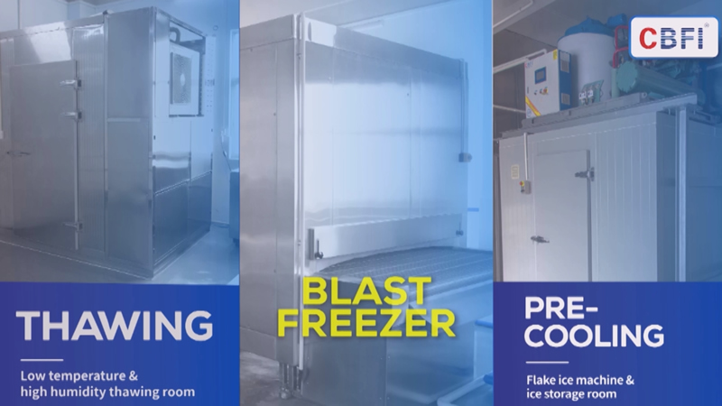 Tunnel Freezer + Flake Ice Machine + Blast Freezer For Frozen Seafood in Jiangmen