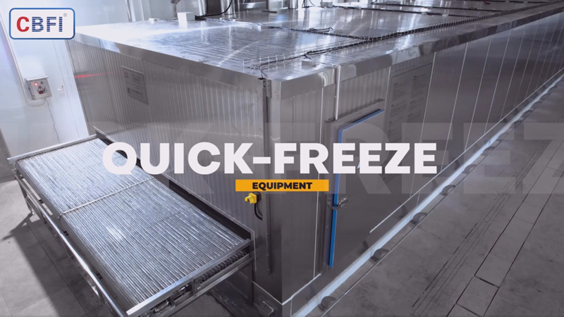 Quick Freezing Cold Storage with Capacity of 2000kg/h in Zhangzhou