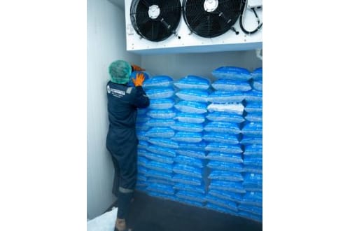 30 Tons Tube Ice Machine in Indonesia