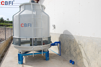 CBFI-12 ton Block Ice Plant in the Philippines