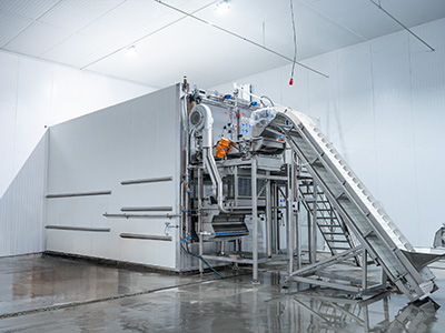 2,000 kg/h Fluidized Quick Freezer for Frozen Berries in Kyrgyzstan