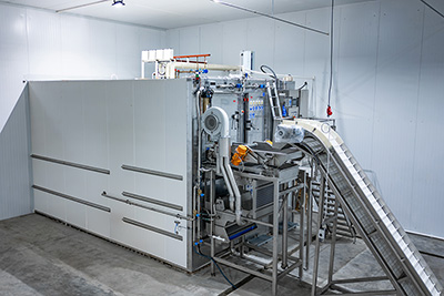 2,000 kg/h Fluidized Quick Freezer for Frozen Berries in Kyrgyzstan