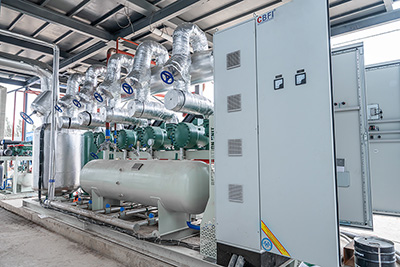 2,000 kg/h Fluidized Quick Freezer for Frozen Berries in Kyrgyzstan