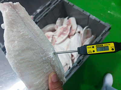 Freezing Tunnel for Fish Fillets in Indonesia