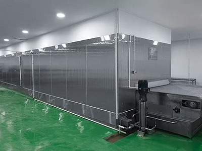 Freezing Tunnel for Fish Fillets in Indonesia