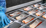 Aquatic Product Processing Cold Storage