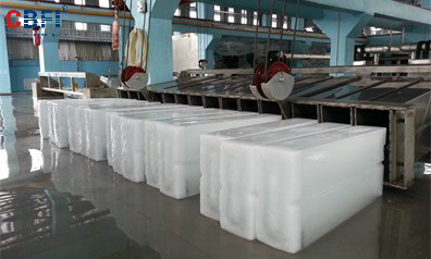 Malaysia--60T Large Ice Brick Ice Factory Project