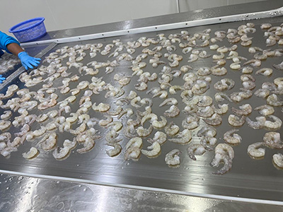 Quick Freezing Tunnel Freezer for Frozen Shrimp in Thailand