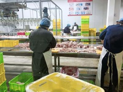 Tajikistan Chicken Slaughtering and Processing Plant Project