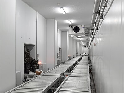 100,000 t high-bay rack-supported cold storage facility for Zhengzhong cold chain